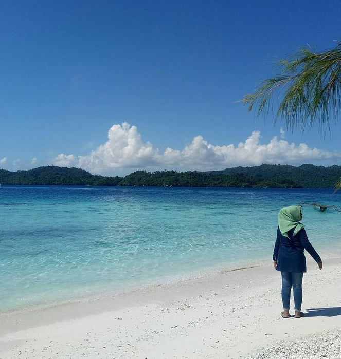 Banggai Laut merupakan salah satu daerah yang terletak di Provinsi Sulawesi Tengah, Indonesia. Daerah ini dikenal dengan keindahan alam bawah lautnya, budaya yang kaya, serta keunikan tradisi lokal. Keberagaman wisata yang ditawarkan membuat Banggai Laut menjadi salah satu destinasi yang sangat menarik bagi wisatawan, baik lokal maupun mancanegara. Dari pantai yang memukau hingga tempat penyelaman yang menakjubkan, Banggai Laut memiliki banyak tempat wisata yang sudah pasti akan memanjakan mata dan hati para pengunjung. Dalam artikel ini, kita akan membahas empat tempat wisata di Banggai Laut yang paling banyak digemari. Mari kita eksplorasi keindahan dan keunikan masing-masing tempat tersebut. 1. Pulau Banggai Pulau Banggai adalah salah satu pulau utama di kabupaten Banggai Laut yang menjadi magnet bagi wisatawan. Dikenal dengan pantainya yang berpasir putih dan air yang jernih, Pulau Banggai menawarkan pengalaman liburan yang sempurna. Keindahan alamnya yang masih alami dan asri menjadikan pulau ini sebagai tempat yang ideal untuk bersantai dan menikmati keindahan alam. Salah satu daya tarik utama dari Pulau Banggai adalah keanekaragaman hayatinya. Di sekitar pulau ini, terdapat banyak spot snorkeling dan diving yang menakjubkan. Para penyelam bisa menjumpai berbagai jenis ikan tropis, terumbu karang yang cantik, serta biota laut lainnya yang mengagumkan. Dari daerah dangkal hingga kedalaman yang lebih dalam, setiap penyelam akan menemukan keindahan yang berbeda. Selain aktivitas air, Pulau Banggai juga menawarkan berbagai kegiatan lain seperti hiking dan trekking. Wisatawan dapat menjelajahi jalur-jalur setapak yang ada di pulau ini, menikmati panorama alam yang indah, serta menemukan spot-spot tersembunyi yang kaya akan keindahan. Di bagian timur pulau, terdapat beberapa desa nelayan yang menawarkan pengalaman unik dalam mengenal budaya lokal. Bagi para pecinta fotografi, Pulau Banggai adalah surga. Pemandangan matahari terbenam di pulau ini sangat memukau dan sangat cocok untuk diabadikan. Dengan segala keindahan yang dimilikinya, tidak heran jika Pulau Banggai menjadi salah satu tempat wisata paling banyak digemari di Banggai Laut. 2. Taman Nasional Bunaken Taman Nasional Bunaken, meskipun secara administratif berada di bawah wilayah Sulawesi Utara, namun dekat dengan Banggai Laut dan sering dijadikan destinasi tambahan bagi wisatawan yang berlibur di daerah ini. Taman Nasional ini terkenal dengan kekayaan biota laut yang luar biasa, menjadikannya sebagai salah satu tempat penyelaman terbaik di dunia. Di Taman Nasional Bunaken, pengunjung dapat menemukan lebih dari 390 spesies terumbu karang dan ratusan spesies ikan. Salah satu yang paling terkenal adalah ikan clownfish, yang sering terlihat di antara anemon laut. Selain itu, terdapat pula penyu, hiu, dan berbagai jenis ikan tropis lainnya yang menghuni perairan di sekitar taman nasional ini. Aktivitas menyelam di Bunaken sangat populer. Para penyelam pemula hingga profesional dapat menikmati keindahan bawah laut yang menakjubkan. Banyak operator tour yang menawarkan paket menyelam lengkap dengan instruktur berpengalaman, sehingga pengunjung bisa merasakan aman dan nyaman saat melakukan aktivitas ini. Terdapat pula spot snorkeling yang mudah diakses bagi mereka yang tidak ingin menyelam namun tetap ingin menikmati keindahan bawah laut. Taman Nasional Bunaken juga memiliki program konservasi yang aktif untuk menjaga ekosistem lautnya. Wisatawan dapat berpartisipasi dalam kegiatan bersih-bersih pantai dan penyuluhan mengenai pentingnya menjaga lingkungan laut. Dengan demikian, berwisata ke sini tidak hanya menyenangkan tetapi juga memberikan dampak positif bagi lingkungan. 3. Pantai Tanjung Karang Pantai Tanjung Karang adalah salah satu pantai terkenal di Banggai Laut yang sering dikunjungi oleh wisatawan. Berlokasi tidak jauh dari pusat kota, pantai ini mudah diakses dan menjadi pilihan bagi mereka yang ingin menikmati waktu bersantai di tepi pantai. Keindahan panorama laut yang terbentang luas serta pemandangan pulau-pulau kecil di sekitarnya menjadikan Pantai Tanjung Karang sebagai tempat yang ideal untuk berlibur. Salah satu hal yang menarik dari Pantai Tanjung Karang adalah suasana yang tenang dan damai. Dengan pasir putih yang lembut dan ombak yang tidak terlalu besar, tempat ini sangat cocok untuk keluarga yang ingin bermain air atau hanya bersantai di bawah sinar matahari. Di sekitar pantai, terdapat berbagai fasilitas yang memadai, seperti tempat duduk, warung makan, dan area parkir. Bagi pengunjung yang hobi berfoto, Pantai Tanjung Karang menawarkan banyak spot menarik untuk diabadikan. Pemandangan matahari terbenam di pantai ini sangat memukau dan menjadi salah satu momen yang tidak boleh dilewatkan. Selain itu, wisatawan juga dapat menikmati berbagai aktivitas air seperti jet ski, banana boat, dan parasailing yang ditawarkan oleh penyedia jasa lokal. Pantai Tanjung Karang juga sering mengadakan acara lokal seperti festival budaya dan lomba perahu tradisional yang melibatkan masyarakat setempat. Dengan demikian, selain menikmati keindahan alam, pengunjung juga dapat merasakan langsung budaya dan tradisi masyarakat Banggai Laut. 4. Desa Wisata Pulo Cinta Desa Wisata Pulo Cinta adalah destinasi unik yang patut dikunjungi saat berada di Banggai Laut. Terletak di Pulau Cinta, desa ini dikenal dengan konsep ekowisata yang mengedepankan keberlanjutan dan pelestarian lingkungan. Keindahan pulau ini terletak pada pantai berpasir putihnya, air laut yang jernih, serta hutan mangrove yang masih alami. Di Pulo Cinta, para pengunjung dapat menikmati berbagai aktivitas menarik seperti snorkeling, diving, dan trekking di hutan mangrove. Pemandangan bawah lautnya sangat memukau, dengan beragam biota laut yang dapat dilihat secara langsung. Bagi yang ingin lebih dekat dengan alam, tersedia jalur trekking yang memungkinkan pengunjung menjelajahi keindahan alam pulau ini. Desa ini juga menawarkan akomodasi yang ramah lingkungan, dengan berbagai pilihan penginapan mulai dari bungalow hingga homestay. Selama menginap, pengunjung akan disuguhi dengan makanan lokal yang lezat dan segar. Masyarakat setempat sangat ramah dan bersedia menjelaskan tentang budaya dan tradisi mereka, memberikan pengalaman yang tak terlupakan bagi para wisatawan. Kegiatan lain yang bisa dilakukan di Pulo Cinta adalah mempelajari tentang konservasi dan pelestarian lingkungan. Desa ini sering mengadakan program pendidikan bagi wisatawan dan masyarakat mengenai pentingnya menjaga kelestarian alam. Dengan begitu, Pulo Cinta tidak hanya menjadi tempat wisata, tetapi juga sarana untuk meningkatkan kesadaran akan pentingnya menjaga lingkungan.